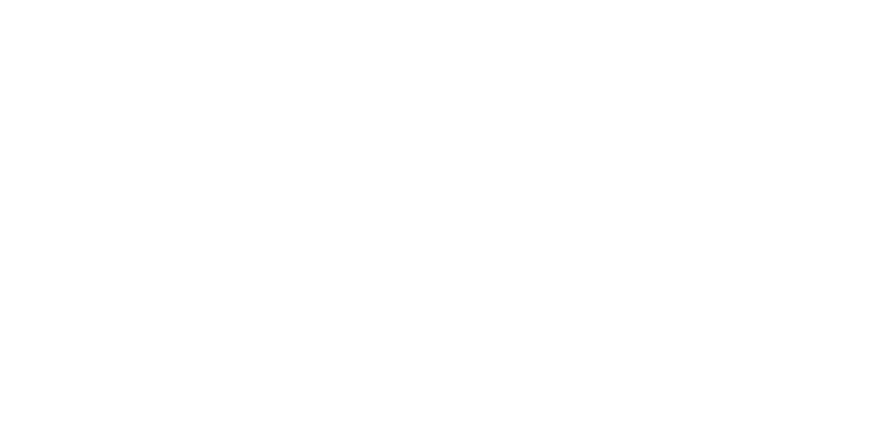 Logo Bravo Boost